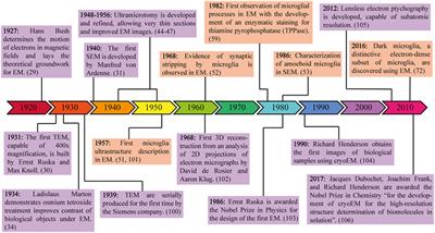 A Brief History of Microglial Ultrastructure: Distinctive Features, Phenotypes, and Functions Discovered Over the Past 60 Years by Electron Microscopy